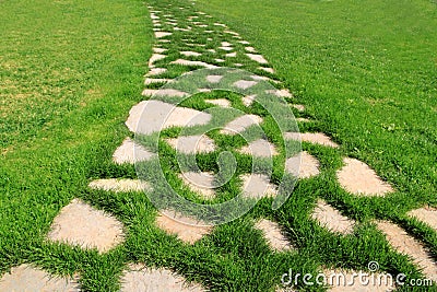 stone path green grass garden texture 19812845