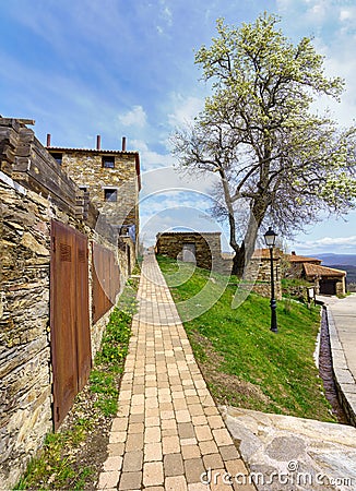 Stone path next to old houses and large pear tree with spring flowers. La Hiruela Madrid Stock Photo