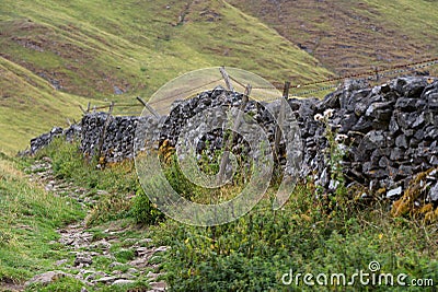 Stone path runs alongside a drystone wall. Peak district national park, Derbyshire. Stock Photo