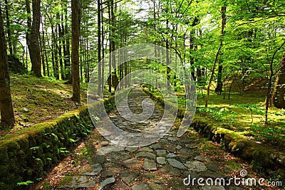 Stone paved road Stock Photo