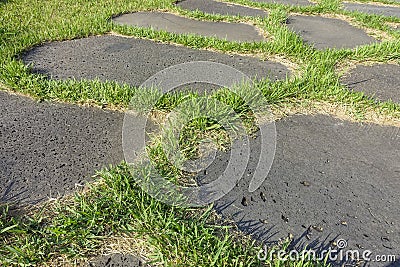 Stone paved road with grass Stock Photo