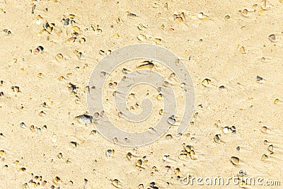 Stone and Sand Abstract Stock Photo