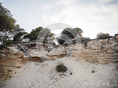 Stone and Sand Foreground with Olive and Pine Trees in Sa Rapita Stock Photo