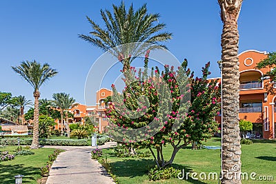 A stone sidewalk through a beautiful Egyptian garden in Hurghada Editorial Stock Photo