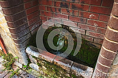 A Stone source of clear transparent water on the street. Cold water flows into a container overgrown with green moss, and splashes Stock Photo