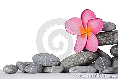 Stone Stack and Frangipani Flower Stock Photo