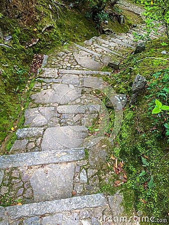 Stone stair with mossy rock Stock Photo