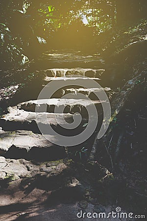 stone stair, stairstep, staircase in park Stock Photo