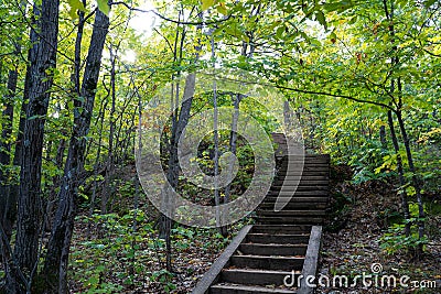 Stone staircase in dark forest with ligtht coming from the top. Concepts of a path, hope, pathway, journey Stock Photo