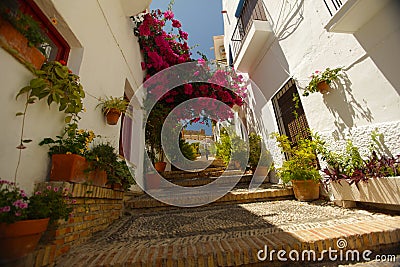 Stone stairway adorned with decorative plants and flower bushes in Salobrena, Granada Stock Photo