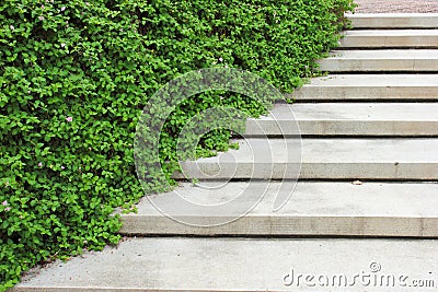 Stone stairway with plant in the garden Stock Photo