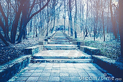 Stone stairway stepping up in a mystery forest. Ghostly effect. Stock Photo