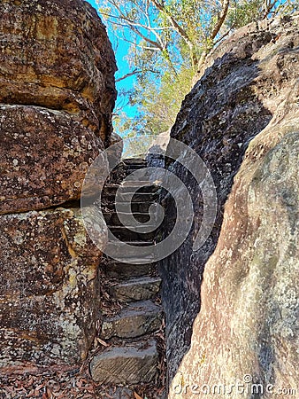 Stone Steps on the Bobbin Head Mangrove Boardwalk Stock Photo