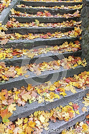 Stone steps covered with maple leaves Stock Photo