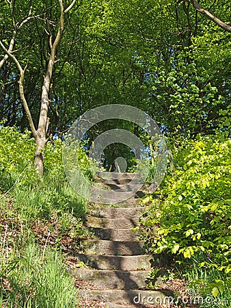 stone steps leading up a woodland path into bright sunlit summer trees Stock Photo