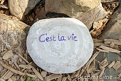 Stone with text C`est la vie Stock Photo