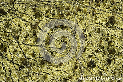 Serpentinite stone texture Stock Photo