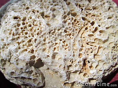 Stone texture on rock near seashore Stock Photo