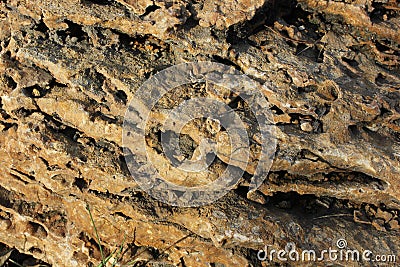 Stone texture in the winter sun Stock Photo