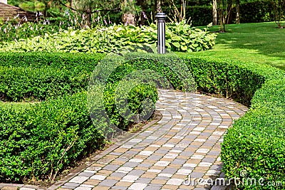 A stone tile path in a park with a hedge of evergreen deciduous shrubs. Stock Photo