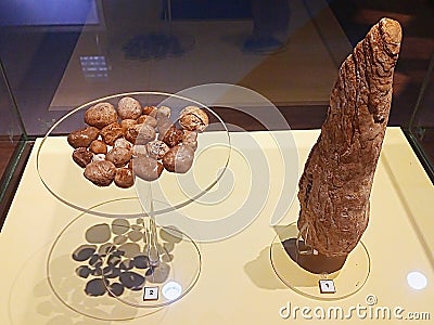 stone tools on the display Editorial Stock Photo
