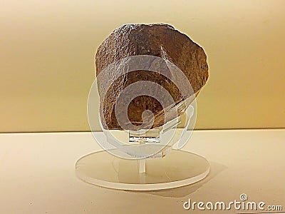 stone tools on the display Editorial Stock Photo