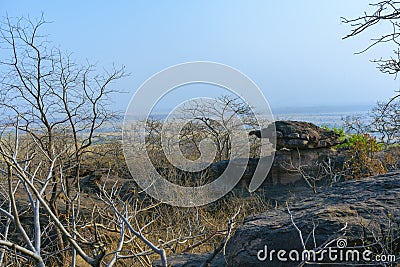 Stone Tortoise - Bhimbetka rock shelters Stock Photo