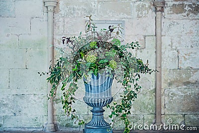 Stone vase planter with fustian green flowers and cascading green ivy and leaves. Grey cobble stones. Gorgeous design in front of Stock Photo