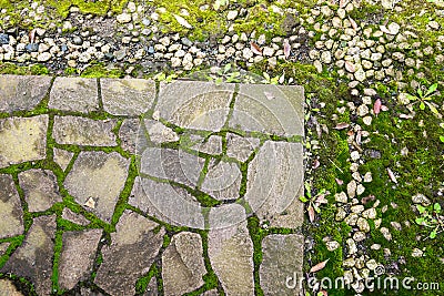 stone walk and pebble in the Japanese park, green moss on the gr Stock Photo