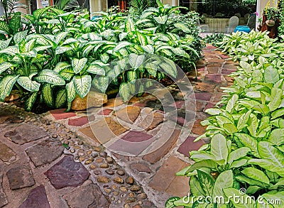 Stone walkway Stock Photo