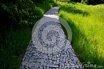 Stone walkways through a nature park made of irregular pieces. There are scabs on the pavement and around there are logs on which Stock Photo