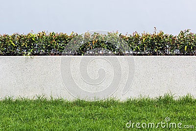 Stone wall and flora with grass in Garden Decoration design for Stock Photo