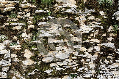 Stone wall Stock Photo