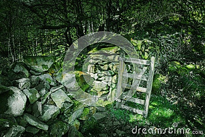 Stone wall with open gate in magical woodland.Fairytail scenery Stock Photo
