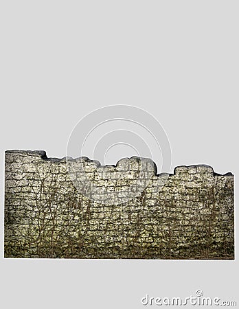 Stone wall with vines Stock Photo