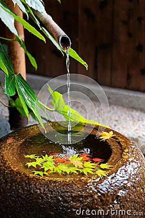 A stone washbasin chozubachi by a Japanese tea room, with a bamboo pipe supplying water & colorful maple leaves fallen on the Stock Photo