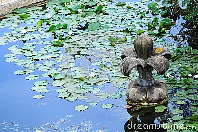 Stone and water lily in pond of Villa Doria Pamphili at the Via Aurelia Antica Stock Photo