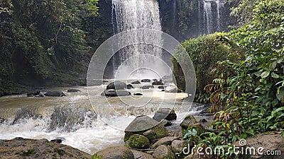 Stone, waterfall, plant and happiness Stock Photo