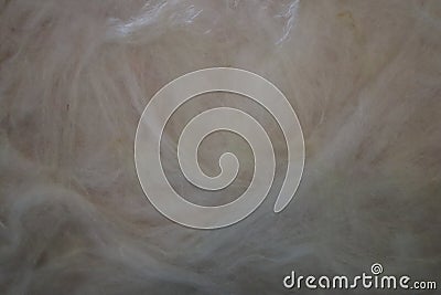 Stone wool texture background, isolation material Stock Photo