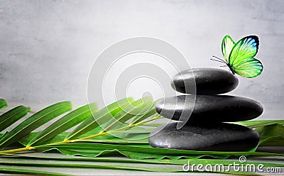 Stones balance, palm and butterfly. Zen and spa concept. Stock Photo