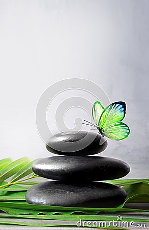 Stones balance, palm and butterfly. Zen and spa concept. Stock Photo