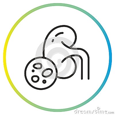 stones in the kidneys icon, urinary system problem, thin line symbol Vector Illustration