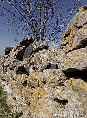 Stones on landshaft Stock Photo