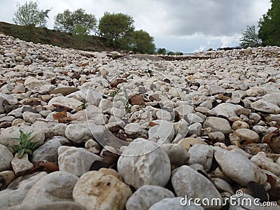 Stones like balls Stock Photo