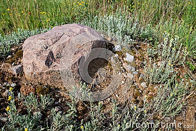 Stones lying in a meadow. Field stones left behind Stock Photo