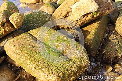 stones Mediterranean Sea in Jaffa Stock Photo