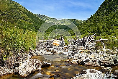 Stones in mountain river in the middle of Ziarska valley in Slovakia. Stock Photo