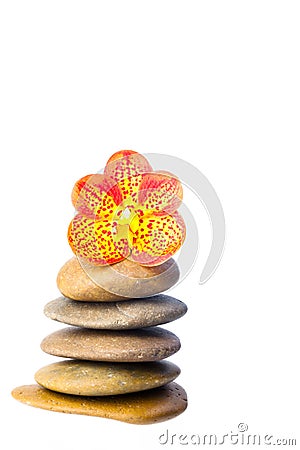 Stones and orchid Stock Photo