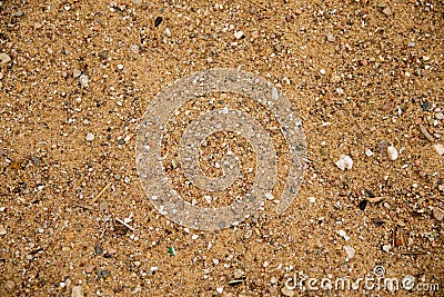 Stones with sand on the lake, close-up. Stock Photo