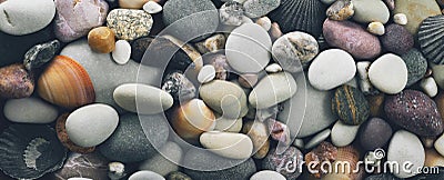 Stones and seashells background, panorama Stock Photo